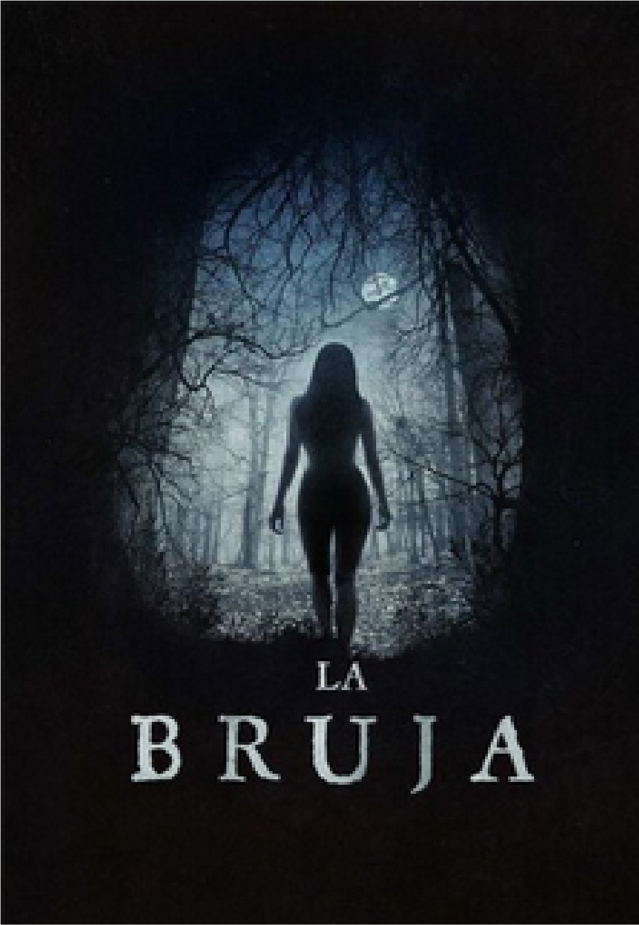 Imagem fechada 1
